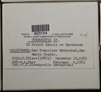 Image Associated With the Occurence